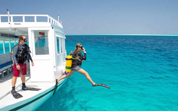 SNORKELING TRIP FROM DIVE BOAT