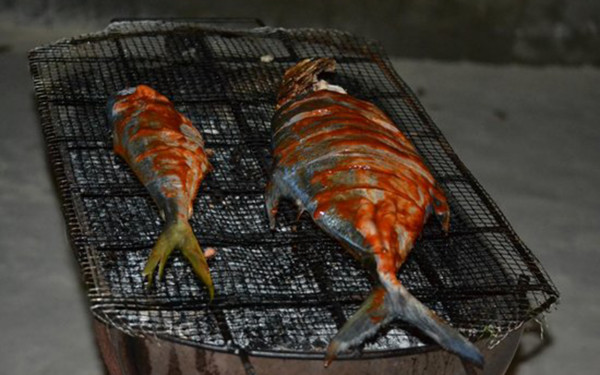 NIGHT FISHING & GRILL